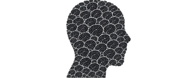 Formation en psychopathologie à Toulouse : l’approche intégrative du Docteur Lambert