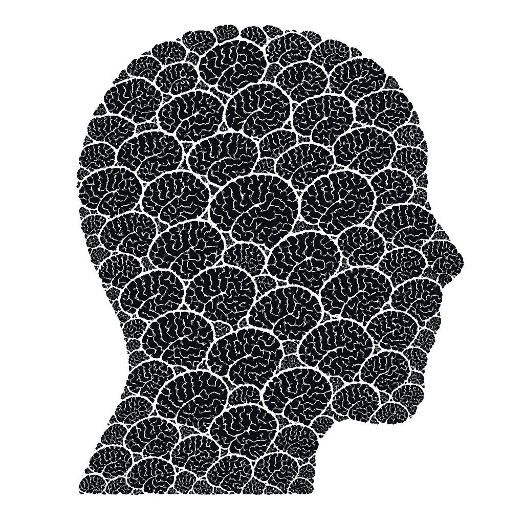 formation-en-psychopathologie-a-toulouse-lapproche-integrative-du-docteur-lambert